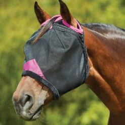 Weatherbeeta Fliegenmaske Comfitec Deluxe Durable Mesh Schwarz/Lila -TRUS Pferd Geschaft wb 1009428000 blackpurple wb fly mask image hero null.003d60