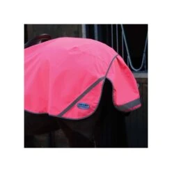 Weatherbeeta Exercise Sheet 300D Reflektierend Pink -TRUS Pferd Geschaft wb 808048.a86d7e