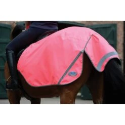 Weatherbeeta Exercise Sheet 300D Reflektierend Pink -TRUS Pferd Geschaft wb 808052 stand.2915b1