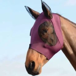 Weatherbeeta Fliegenmaske Stretch Bug Eye Saver Mit Ohren Türkis Schwarz -TRUS Pferd Geschaft wb 819111 wb stretch bug eye saver image lifestyle.37001d