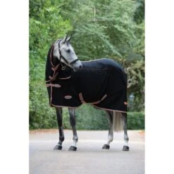 Weatherbeeta Fleece Combo Neck Therapy-Tec Schwarz/Silber/Rot -TRUS Pferd Geschaft weatherbeeta 812720 wb therapy tec flc cmb stand2 image lifestyle.756f5c